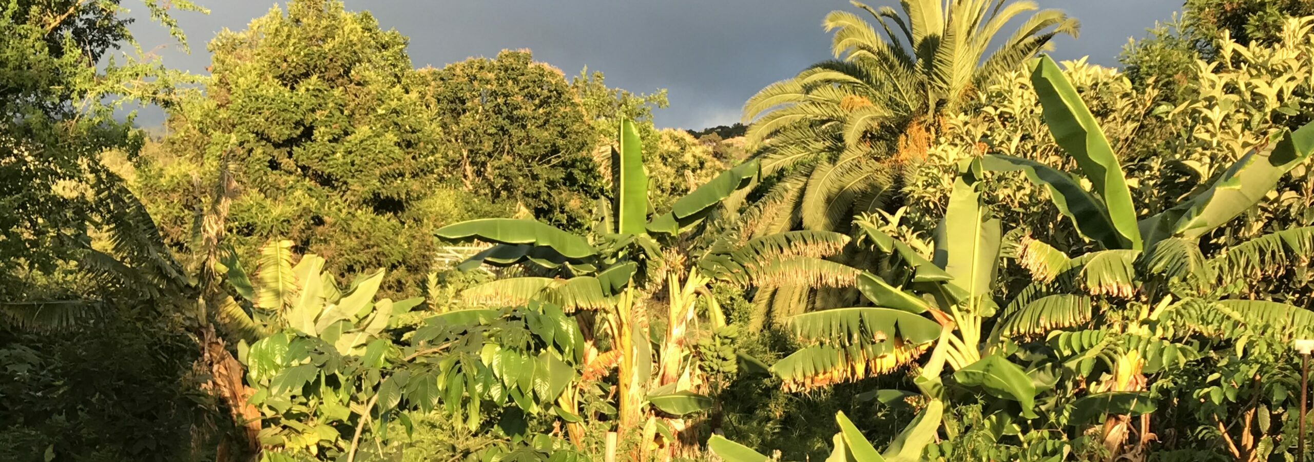 Willkommen auf unserem Selbstversorgerhof!